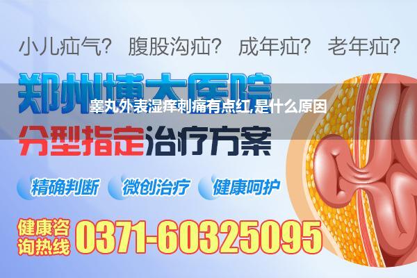睾丸外表湿痒刺痛有点红,是什么原因