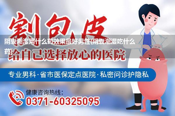 阴囊潮湿用什么药效果最好男性(阴囊潮湿吃什么药)